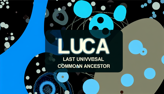 LUCA vs. Competitors: A DeFi Showdown