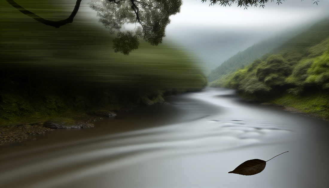 The Evolution of TAO Cryptocurrency: A Deep Dive