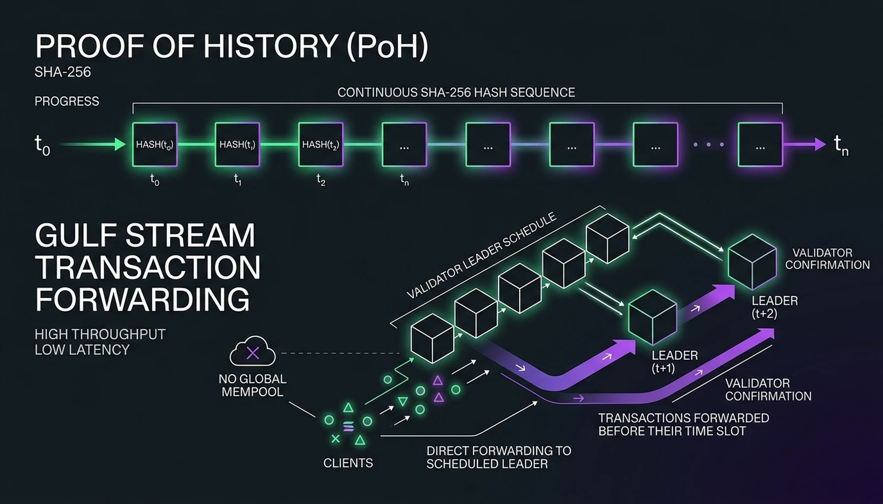 Solana Technical Deep Dive: Proof of History, Gulf Stream, and Sealevel Execution - architectural visualization